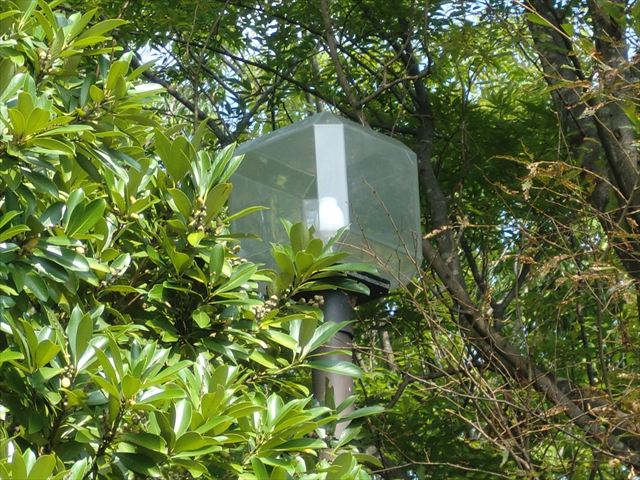 茨城県守谷市 公園灯交換工事