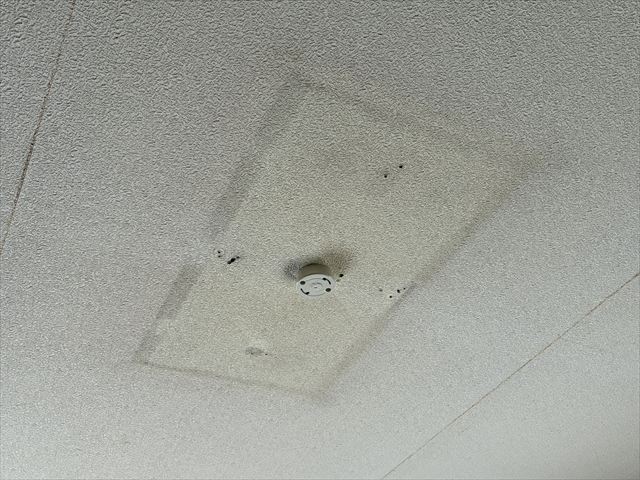 茨城県牛久市 家庭用照明LED化、シーリング化、スイッチ交換工事