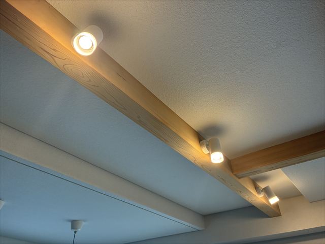 茨城県守谷市 家庭用照明交換工事